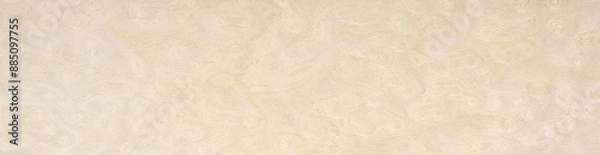 Fototapeta Warm taupe and soft cream hues intermingle in the unique pattern of this high-quality maple burl wood veneer