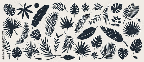 Obraz Silhouette of tropical forest leaf or botanical plant, branch, fern and palm leaves isolated on white background. Summer beach leaf or spring flower symbol. Wedding spa element line art. leaf pattern.