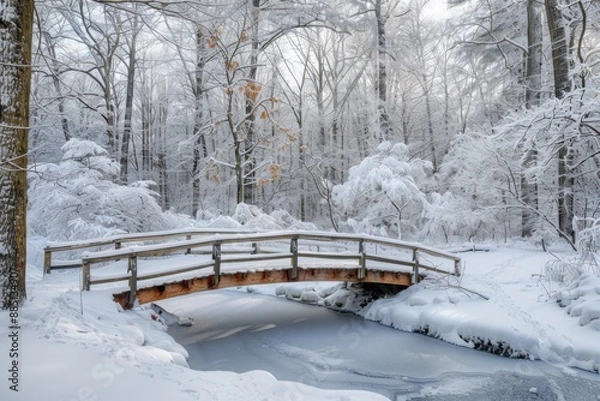 Obraz Snowy forest at the winter