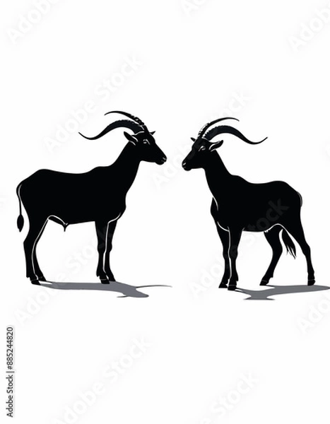 Fototapeta Two Goats Standing Side by Side