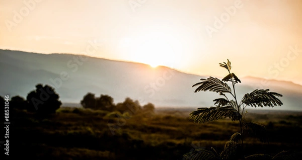 Fototapeta Sunset Background