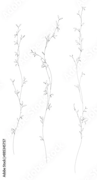 Fototapeta Set of small botanical leaves branches with hand drawn in line art