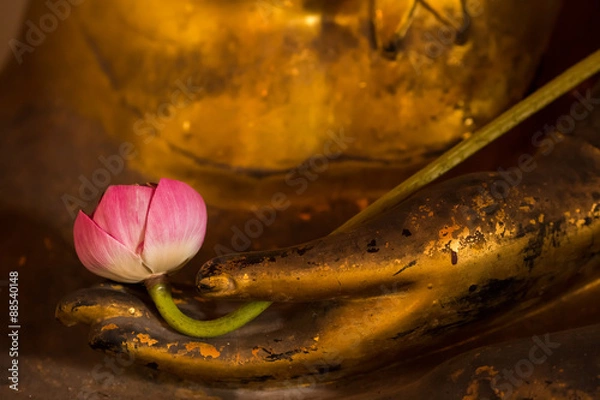 Obraz Lotus on hand buddha statue.
