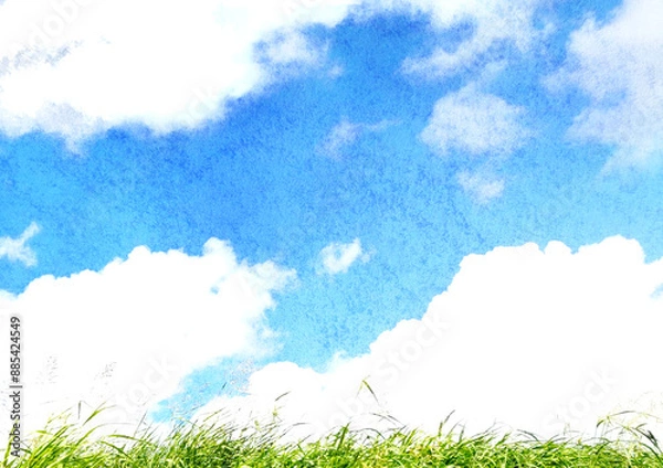 Fototapeta 水彩風の夏らしい草と空の風景写真