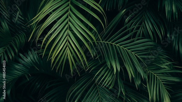 Obraz a dark green palm tree leafs pattern background Generative Ai