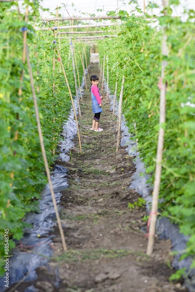 Fototapeta Kid gardener