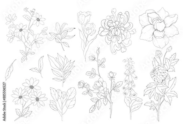 Obraz Hand drawn flowers and roses collection