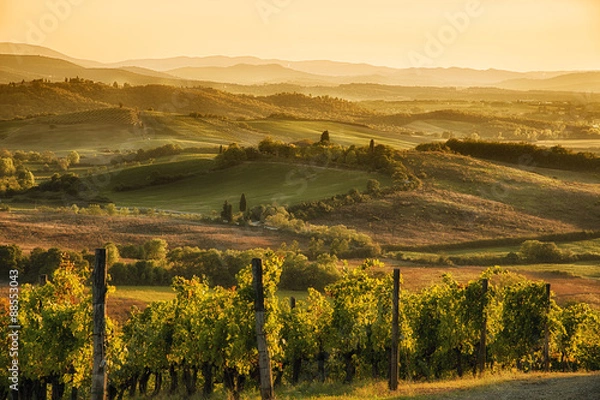 Obraz Zachód słońca w Chianti