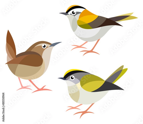 Fototapeta Stylized Birds - Firecrest, Goldcrest, Wren