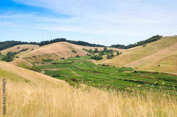 Fototapeta Kulturlandschaft