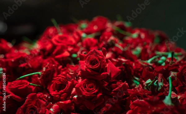 Obraz Red rose flower stack in the market