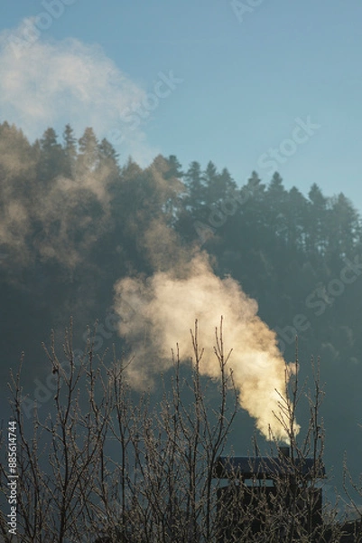 Fototapeta Chimney smoke in the morning