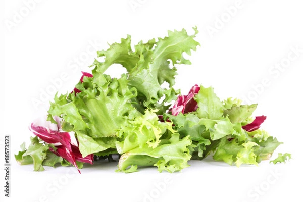 Obraz Salad leafs