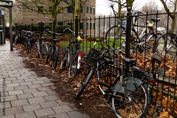 Obraz Many bicycles are parked on the sidewalk near the black fence. Lots of dry orange leaves. Beautiful clean European street in the autumn