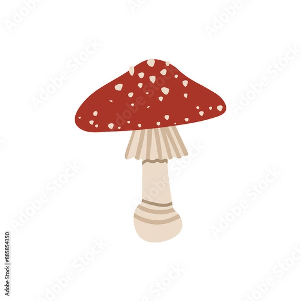 Fototapeta Vector isolated element. Amanita. Mushrooms. Autumn time. Halloween. Color image on a white background. The print is used for packaging design.
