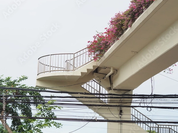 Obraz staircase with flowers