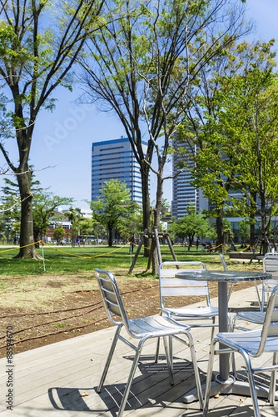 Fototapeta 中野セントラルパーク