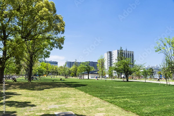 Fototapeta 中野セントラルパーク