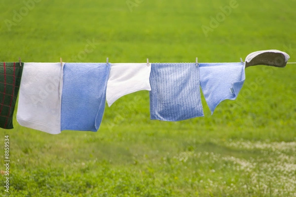 Obraz sécher son linge