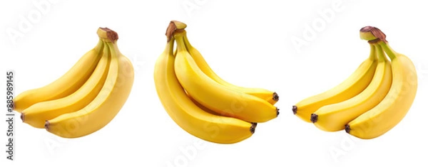Fototapeta set of group of bananas cut out isolated transparent background.