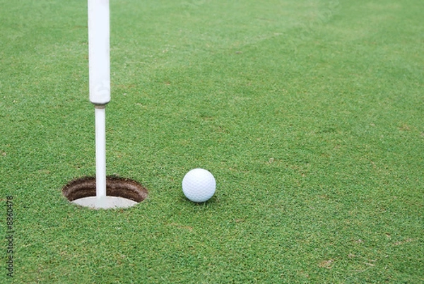 Fototapeta putt me in