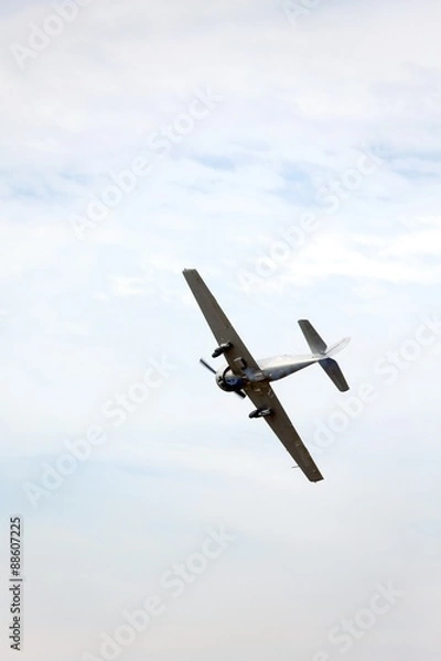 Fototapeta plane flies into the sky and makes incredible daring stunts