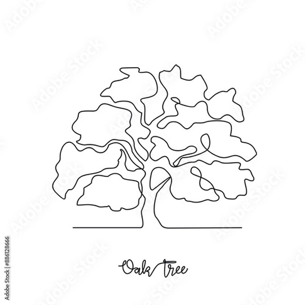 Fototapeta One continuous line drawing of Oak tree vector illustration. Tree plant themes in simple linear style vector design concept. Plant and nature education for students. Education design presentation