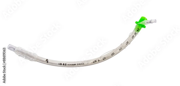 Fototapeta uncuffed endotracheal tube isolated on white background