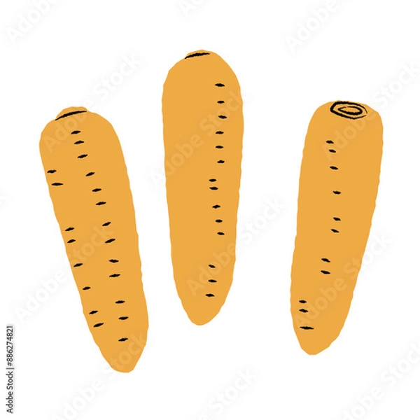 Obraz シンプルなにんじんのイラスト｜ベクター