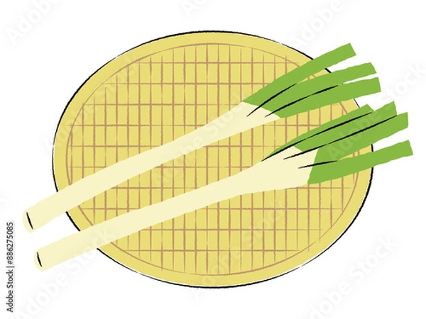 Obraz ザルに入った長ネギのイラスト｜ベクター