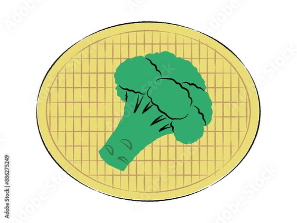 Obraz ザルに入ったブロッコリーのイラスト｜ベクター
