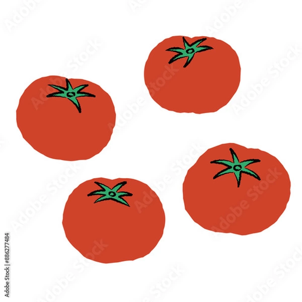 Obraz シンプルなトマトのイラスト｜ベクター