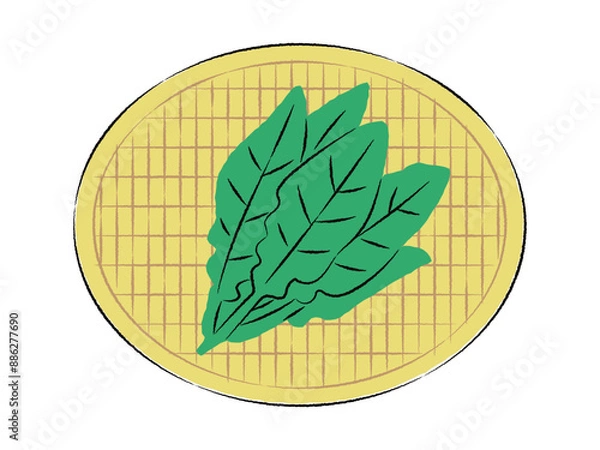 Obraz ザルに入ったほうれん草のイラスト｜ベクター