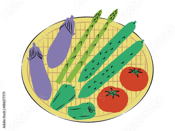 Obraz ザルに入った夏野菜のイラスト｜ベクター