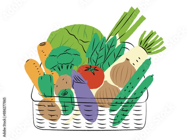 Obraz カゴに入った野菜セットのイラスト｜ベクター