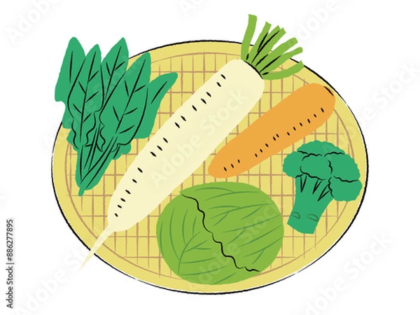 Obraz ザルに入った冬野菜のイラスト｜ベクター