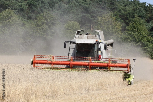 Obraz Ernte - Getreide - Mähdrescher 