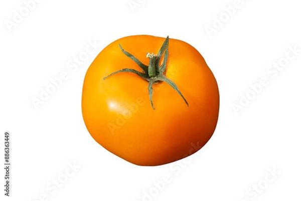 Fototapeta Yellow tomato with green leaf isolated on white or transparent background with clipping path. 