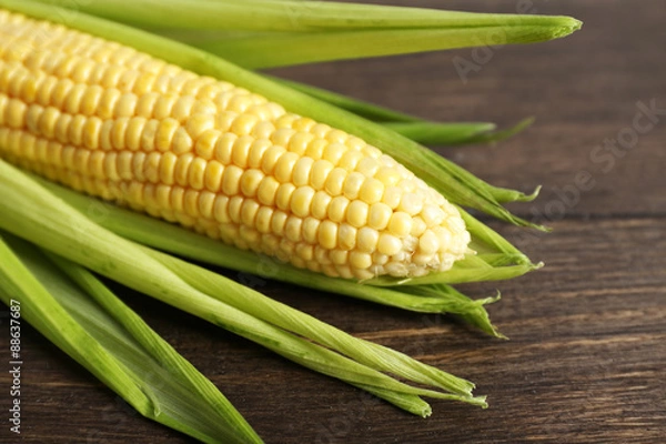 Fototapeta Fresh corn on cob on wooden background