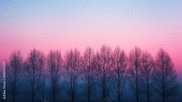 Fototapeta Silhouettes of trees at dawn with misty backdrop, calming rhythms, morning stillness