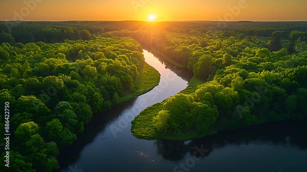Fototapeta High-angle shot of a lush green forest with a winding river cutting through, the sunlight filtering through the trees and creating a serene, peaceful atmosphere 