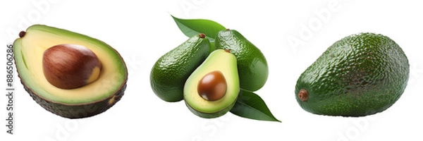 Fototapeta avocado isolated on transparent background