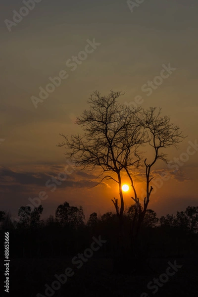 Obraz Sunset and beautiful view