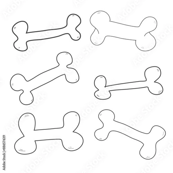 Fototapeta bone hand drawn 6 style set vector