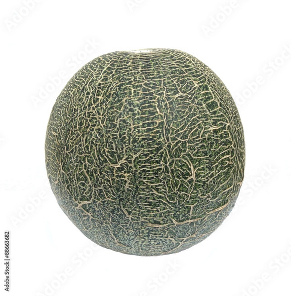 Obraz melon isolated on white background