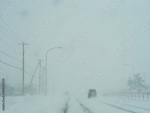 Fototapeta 吹雪で見通しが悪い道路