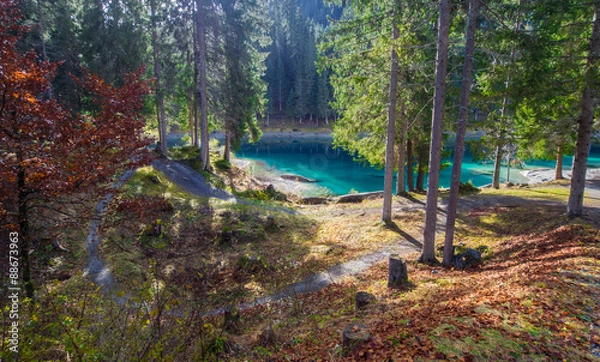 Fototapeta OLYMPUS DIGITAL CAMERA