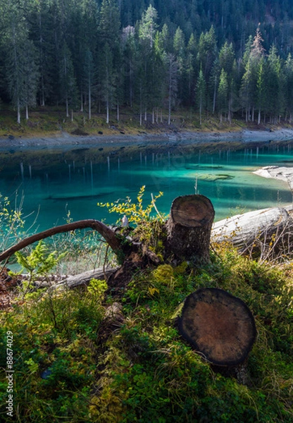 Fototapeta OLYMPUS DIGITAL CAMERA