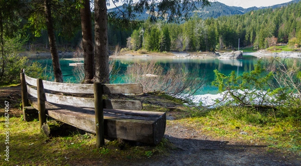 Fototapeta OLYMPUS DIGITAL CAMERA