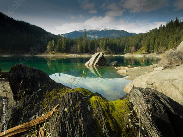 Fototapeta OLYMPUS DIGITAL CAMERA